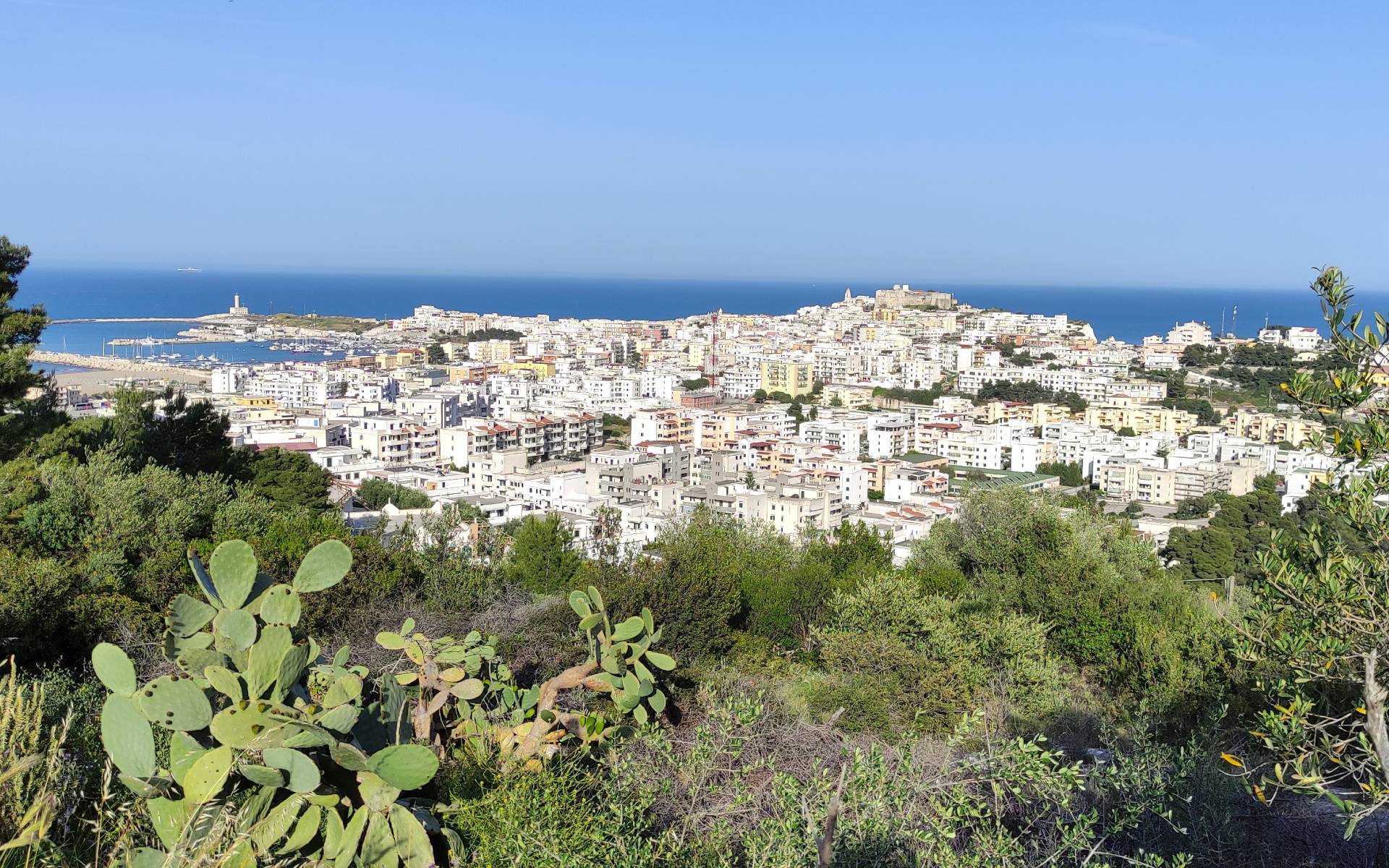 vieste